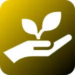 Sustainability Image